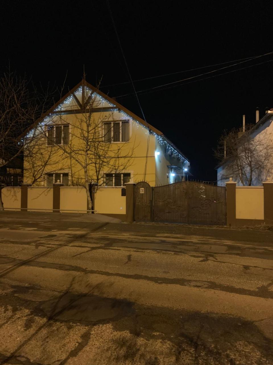 Міні Готель Вілла Вікторія Berehove  Exterior photo