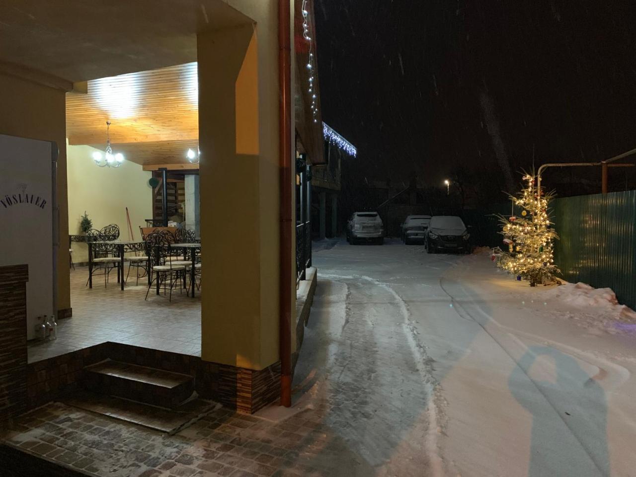 Міні Готель Вілла Вікторія Berehove  Exterior photo